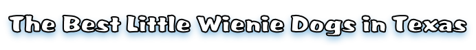 The Best Little Wienie Dogs in Texas