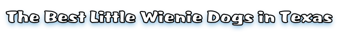 The Best Little Wienie Dogs in Texas